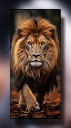 Lion Wallpapers ภาพหน้าจอ 1