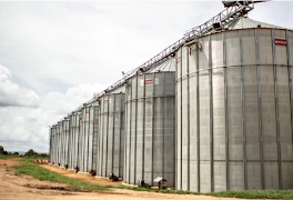 Silverlands 스크린샷 3