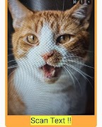 Auto Text Recognizer Affiche