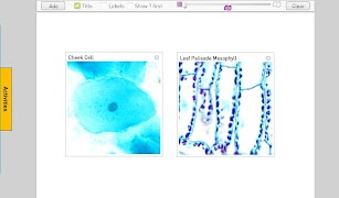 برنامه‌نما Cells عکس از صفحه