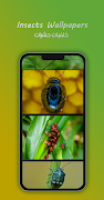8K Insects Wallpapers Ekran Görüntüsü 3