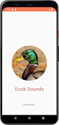 アヒルの音 ポスター