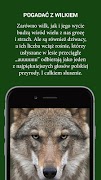 Echa Leśne poster