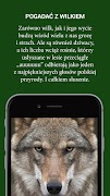 Echa Leśne poster