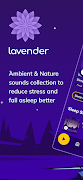 پوستر Lavender - Sleep & Relax