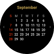 Calendar on Tile 截图 5