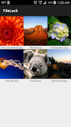FileLock screenshot 2