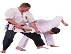 Teknik Dasar Karate poster