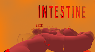 The Intestines VR screenshot 1