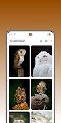 Owl Archetype capture d'écran 3