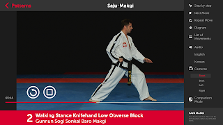 Taekwon-Do ITF Patterns تصوير الشاشة 3