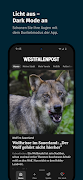 WP News 截图 3