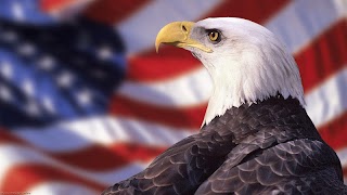 American Eagle Wallpapers bài đăng