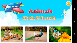 Animals Learning پوسٹر