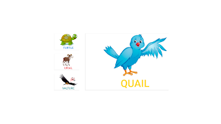 Basic Language Learning скриншот 6