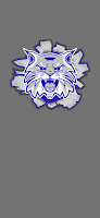 Franklin-Simpson Wildcats पोस्टर