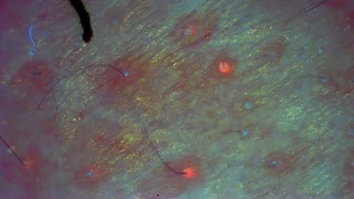 برنامه‌نما Micro Find New عکس از صفحه