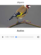 Goldfinch poster