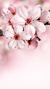Spring wallpapers 截圖 5