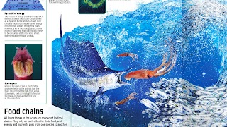 Virtual Reality OCEANS! 스크린샷 6