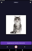 CatRot скриншот 6