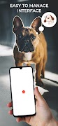 Dog Translator اسکرین شاٹ 1