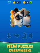 Hex Block Jigsaw Puzzle screenshot 6