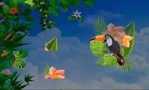 1 Schermata Catch image