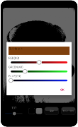 ２色カメラ imagem de tela 3