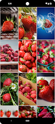 Strawberry Wallpapers स्क्रीनशॉट 3