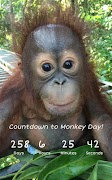 Countdown to Monkey Day Ekran Görüntüsü 2