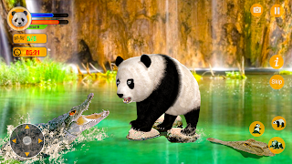 Panda Simulator 3D Panda Game Screenshot 3