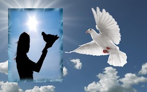 Fotoğraf Çerçeveleri Editörü Ekran Görüntüsü 6