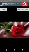 Flower Images screenshot 2