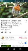 Bird life screenshot 5