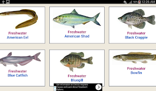 Fishing Buddy captura de pantalla 3