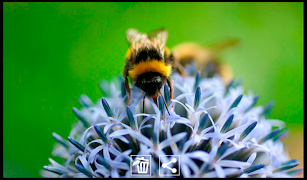 Cam Gallery screenshot 6