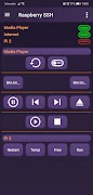 Raspberry SSH Custom Buttons imagem de tela 3