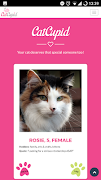 1 Schermata CatCupid