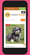 Indian Dogs Poster