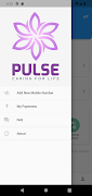 PULSE 截图 1