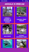 Animals in WebCam 스크린샷 1