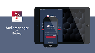 Audit Manager - Beelog poster