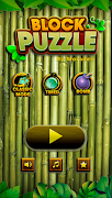 Block Puzzle 2021 постер