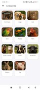 PetKart ภาพหน้าจอ 2
