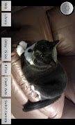 Poster CamTimer