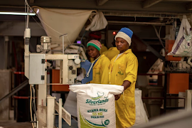 Silverlands captura de pantalla 2