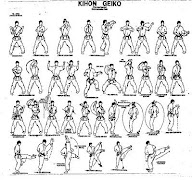 Phòng trưng bày học tập Karate ảnh chụp màn hình 1