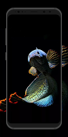 Channa Fish Wallpaper screenshot 5