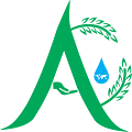 Aelea Market